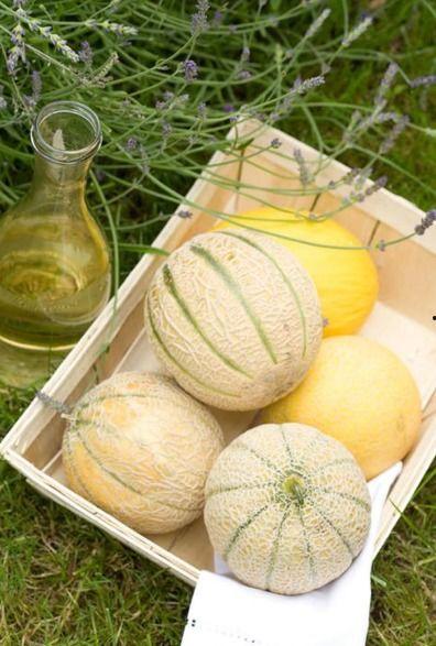 吃瓜二转,揭秘娱乐圈背后的惊人真相