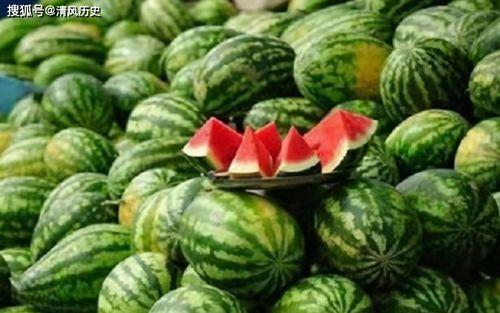 吃瓜c18,一场关于网络热词的趣味探讨