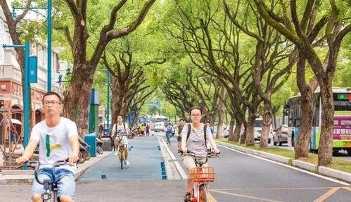 吃瓜群众湖南长沙,揭秘这座城市的美食风云