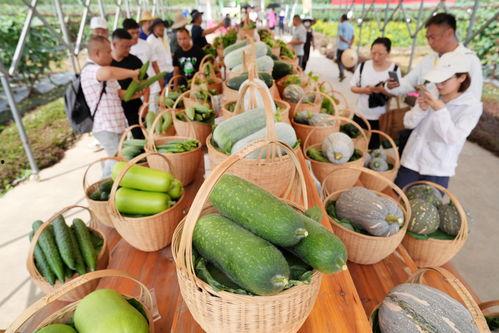 漫展会吃瓜,吃瓜群众围观那些精彩瞬间