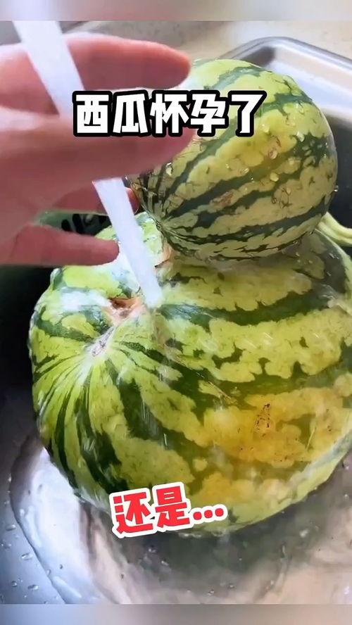 吃瓜搞笑视搞笑视频,吃瓜搞笑视频，带你领略欢乐瞬间