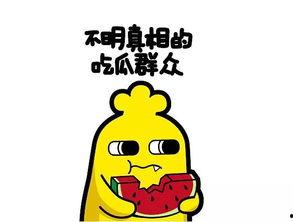 吃瓜群众的通知,一场全民参与的娱乐盛宴