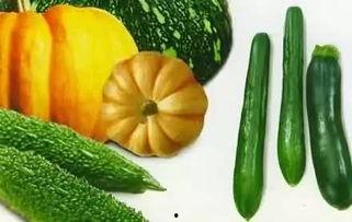 杭州6人吃瓜,一场夏日里的欢乐盛宴