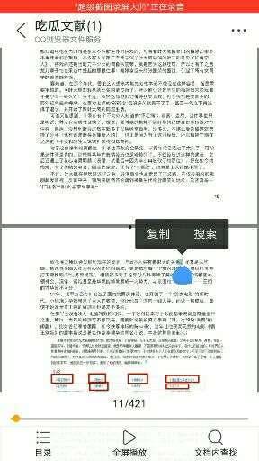 pdf 吃瓜,网络舆论场中的娱乐与真相