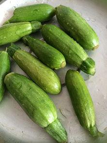 角瓜角瓜怎么吃,探索角瓜的多样美味