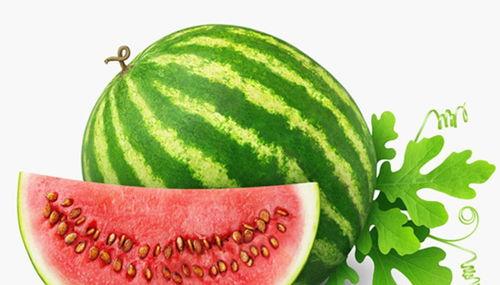 吃瓜人抽象网名,揭秘吃瓜人抽象网名的背后故事