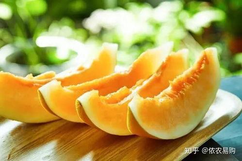 夏天小蜜瓜怎么吃,夏日小蜜瓜的多样食法探索