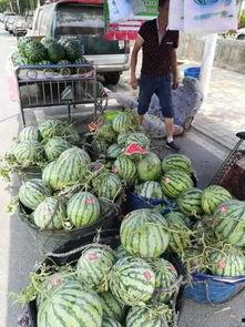 武陟热门吃瓜事件