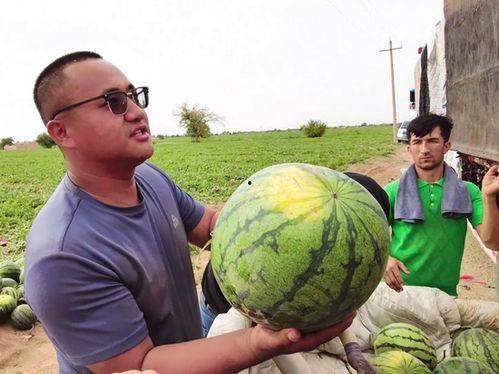 冷门吃瓜新闻,那些鲜为人知的冷门吃瓜新闻背后的故事