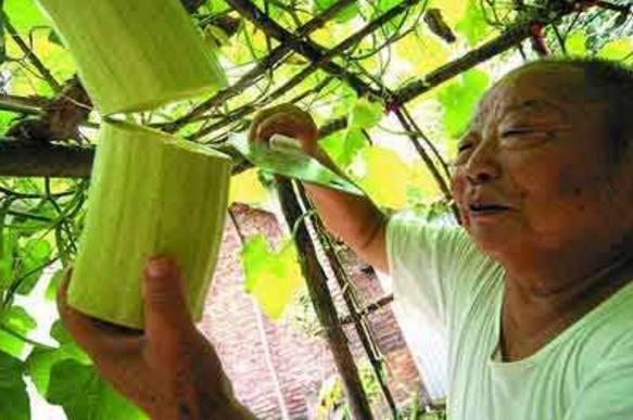 老大爷砍瓜吃瓜视频大全,跟随老大爷一起领略砍瓜吃瓜的乐趣