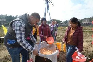 吃瓜小道群,网络社交新趋势下的八卦盛宴