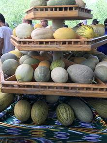 新疆吃瓜网,带你领略新疆美食的独特魅力