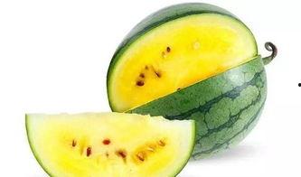 瓜瓜吃瓜外婆,外婆笑谈家常