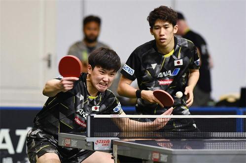 吃瓜讲林高远,吃瓜群众眼中的乒乓球天才