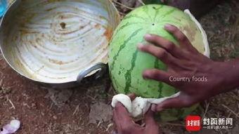 印度大白瓜怎么吃,探索美味与健康的完美融合