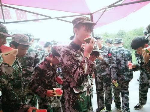 军训吃瓜文章,揭秘军营里的“吃瓜”趣闻