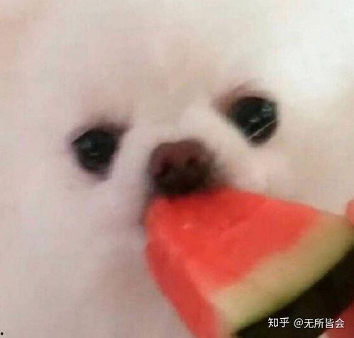 用吃瓜表情包拼一个吃瓜表情包,创意吃瓜表情包大集合