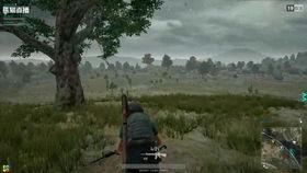 吃瓜吃鸡直播间怎么进入