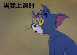 凭心情吃瓜,畅享夏日清凉美食之旅