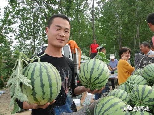 夏邑最新吃瓜事件,揭秘网络热议背后的真相