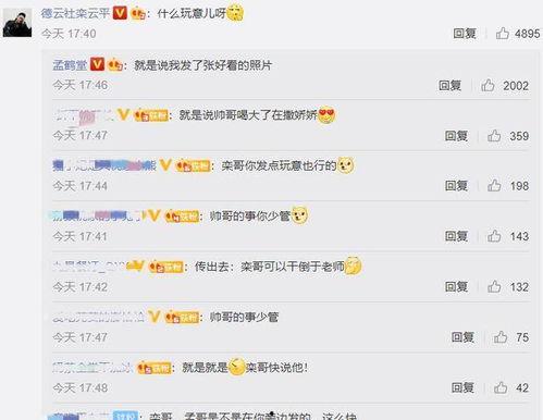 广州吃瓜评论区,吃瓜群众的味蕾盛宴点评