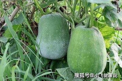 女人每天吃红瓜