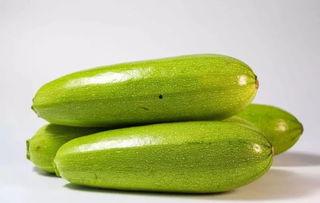 美女吃西葫芦瓜,美女与西葫芦瓜的浪漫邂逅