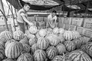 吃瓜不断齐川,揭秘娱乐圈背后的故事