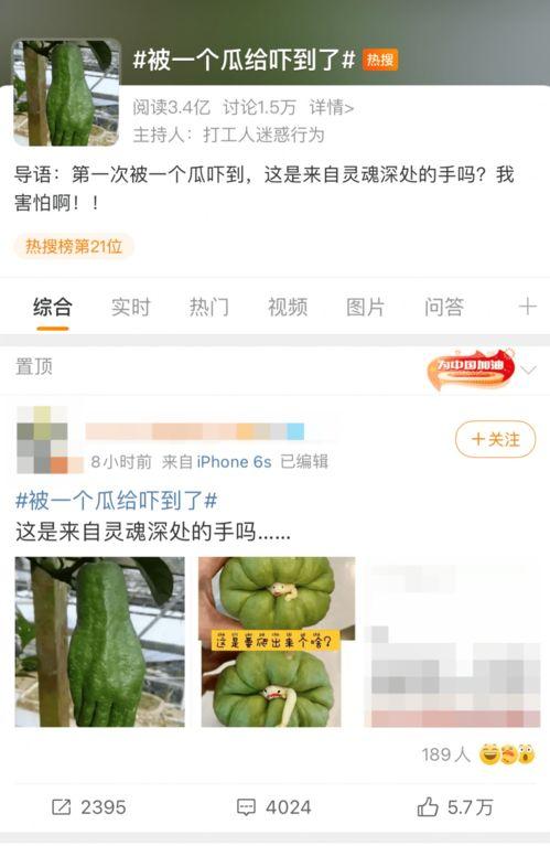 吃大瓜的昵称,网络红人背后的故事与魅力