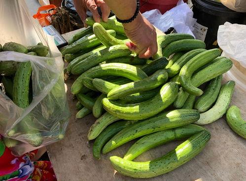 伏天吃五瓜,五瓜助你清凉度夏