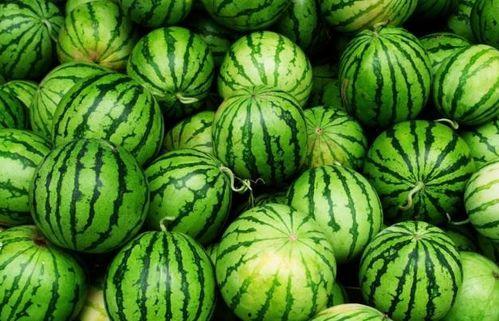 夏天吃四瓜都啥瓜,夏日四瓜养生攻略