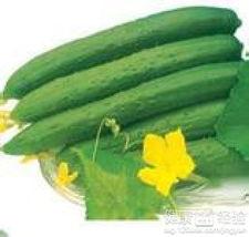 夏天吃四瓜都啥瓜,夏日四瓜养生攻略