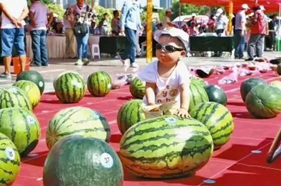 吃瓜王比赛,舌尖上的狂欢盛宴