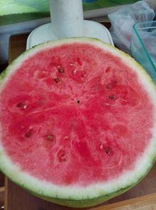 康复医院吃瓜,揭秘康复生活点滴