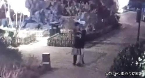 砀山吃瓜打架视频,一场网络热议的街头冲突