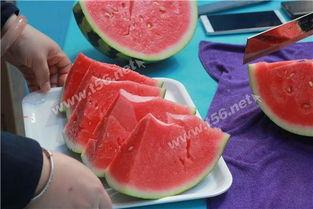 文峰吃瓜,揭秘娱乐圈幕后故事