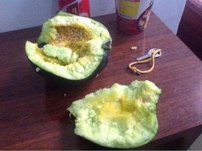 重庆吃瓜被噎,一场美食与安全的碰撞