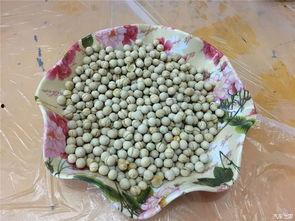 五一旅游吃瓜,吃瓜之旅欢乐多