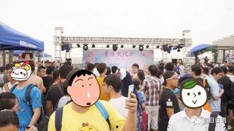 热心朝阳吃瓜群众,揭秘网络舆论背后的故事