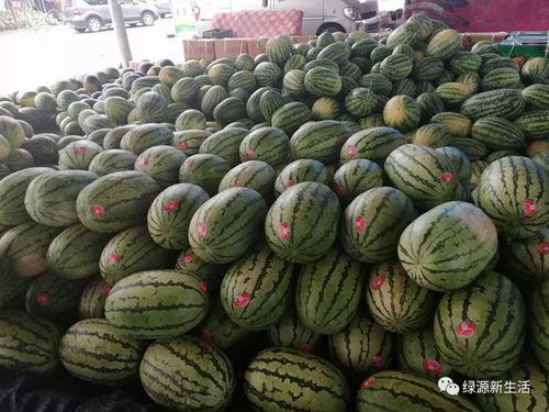 动态吃瓜壁纸高清,捕捉瓜界潮流瞬间