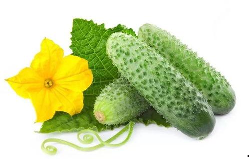 吃瓜系统宋大人,揭秘娱乐圈背后的故事