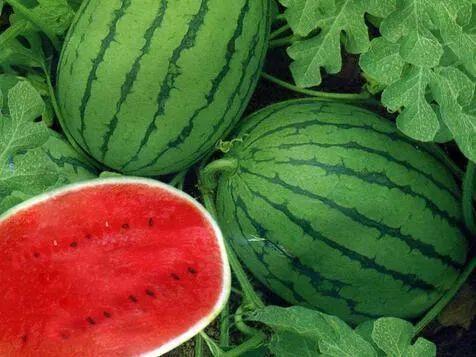 吃瓜系统宋大人,揭秘娱乐圈背后的故事