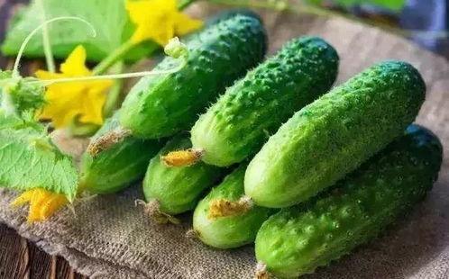 春吃芽夏吃瓜怎么吃,四季饮食智慧，健康生活指南