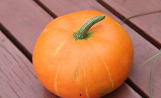 孕期可以吃秋瓜,秋季孕妇的滋补佳选