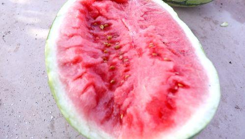 吹风扇吃瓜屏保,吹风扇吃瓜，畅享清凉一夏屏保生活