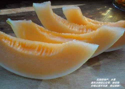 吃民勤哈密瓜视频,甘甜滋味，视觉与味蕾的双重盛宴