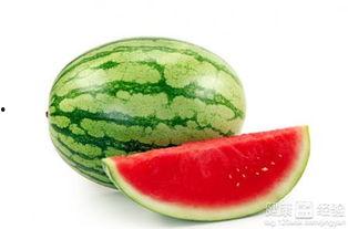 夏天只吃瓜,尽享清凉一夏的甜蜜诱惑