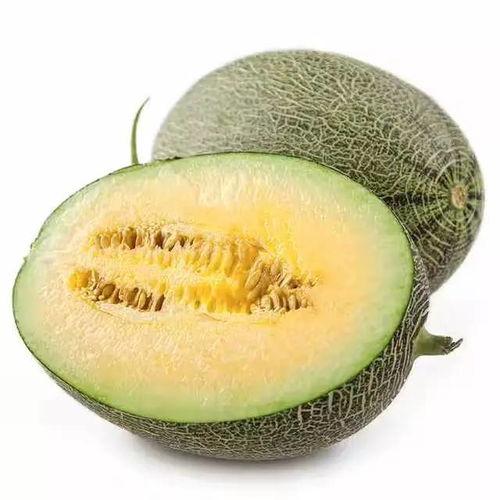 瓜腾可以吃吗,能否品尝美味佳肴？