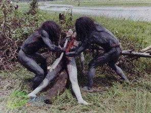 群聊吃瓜恐怖故事,吃瓜引发的恐怖故事揭秘