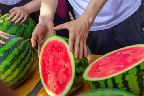 各大高校的吃瓜,揭秘校园里的那些“吃瓜”事件